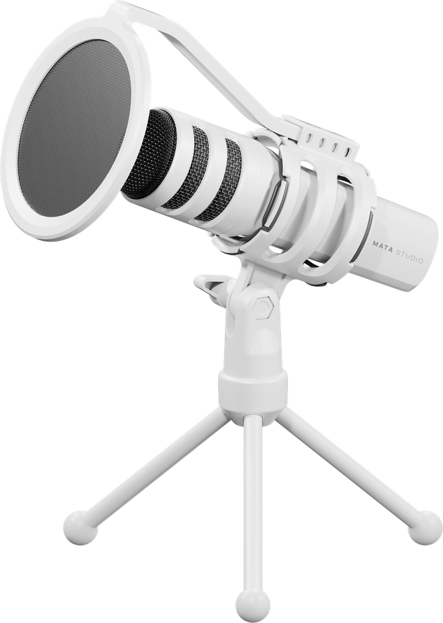 USB condenser microphone C10