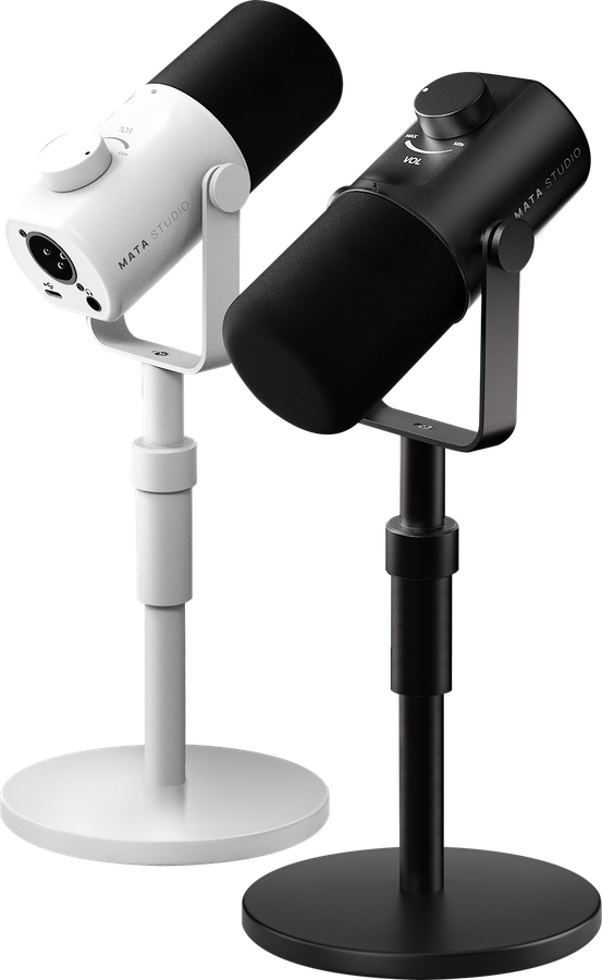 Dynamic microphone C300